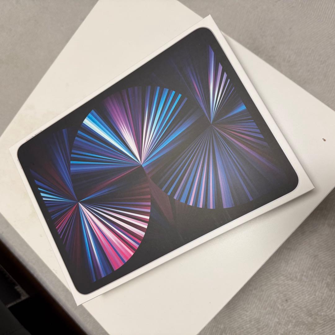 iPad pro 11インチ シルバー 512GB セルラー