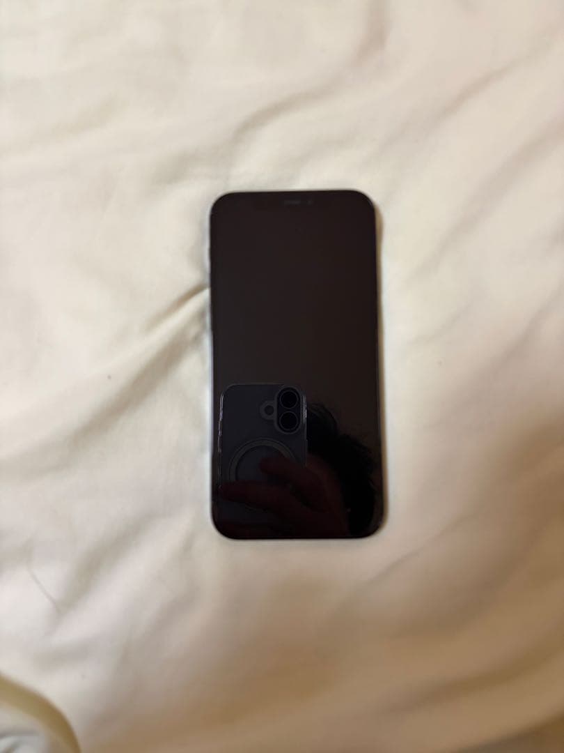 Apple iPhone 12 Pro 青