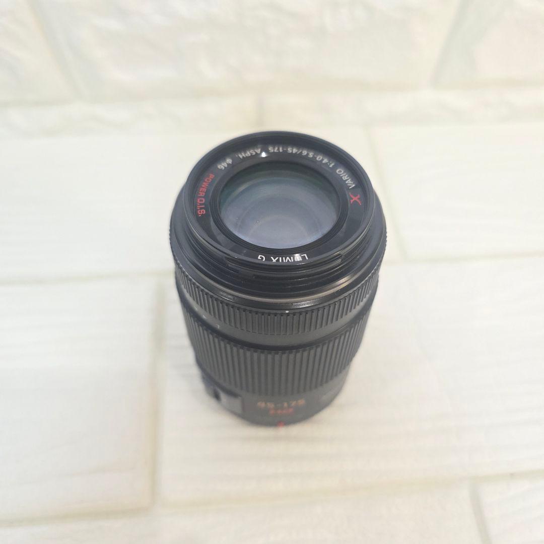 387】Panasonic LUMIX G 45-175mm H-PS45175