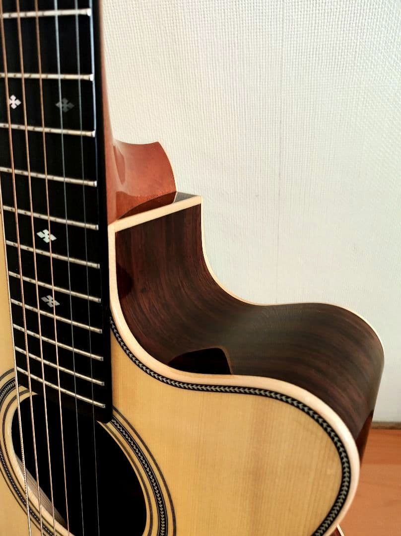 【限定特価】アストリアス ソロ ヘリンボーン セミハードケース+弦2セット