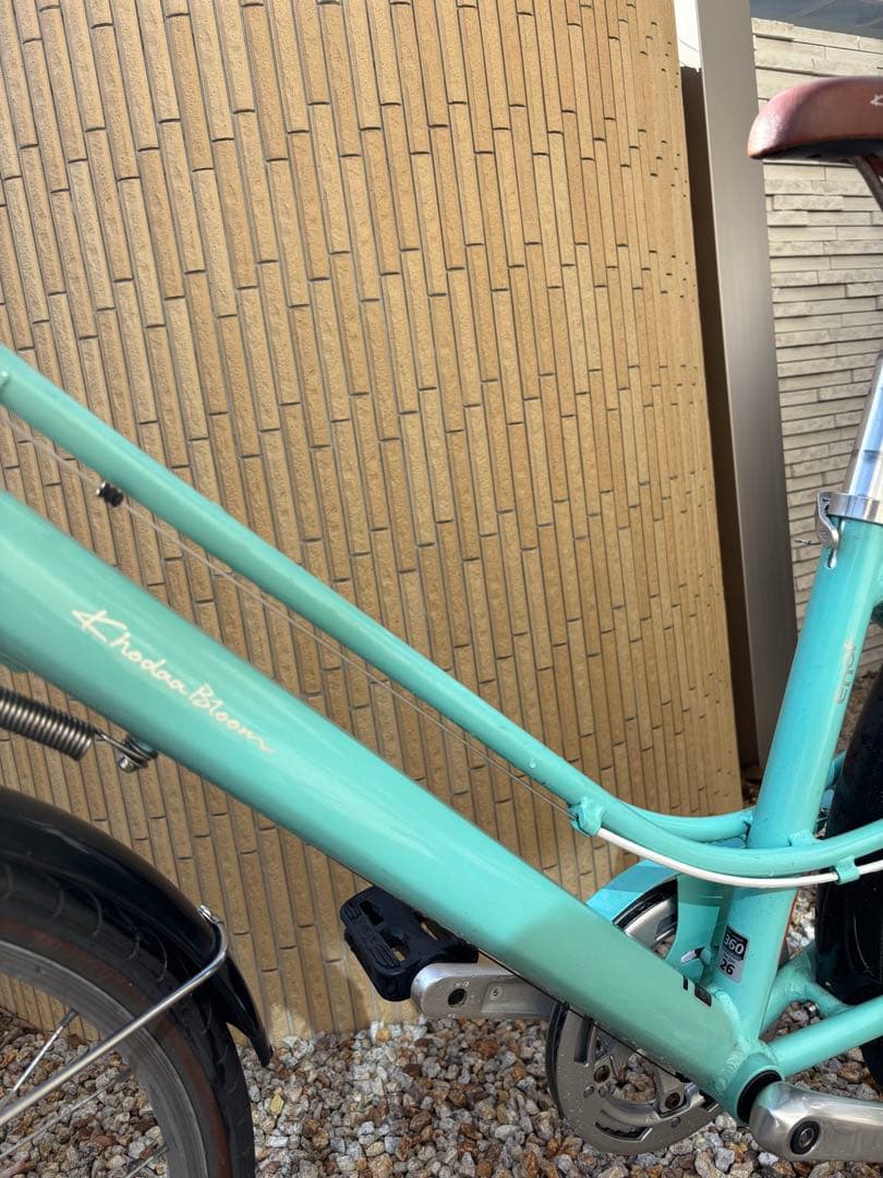 【ヴィンテージ】【直接取引限定】KhodaaBloom enaf26