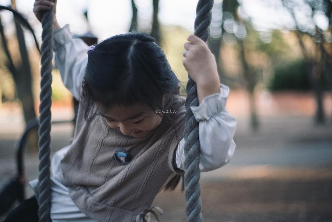 良品！標準の帝王！Planar 50mm F1.4 AEJ オールドレンズ