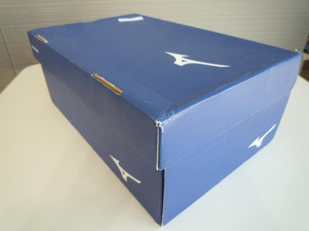 ミズノ ゴルフシューズ ウエーブケイデンス スパイクレス 3E メンズ スポーツ