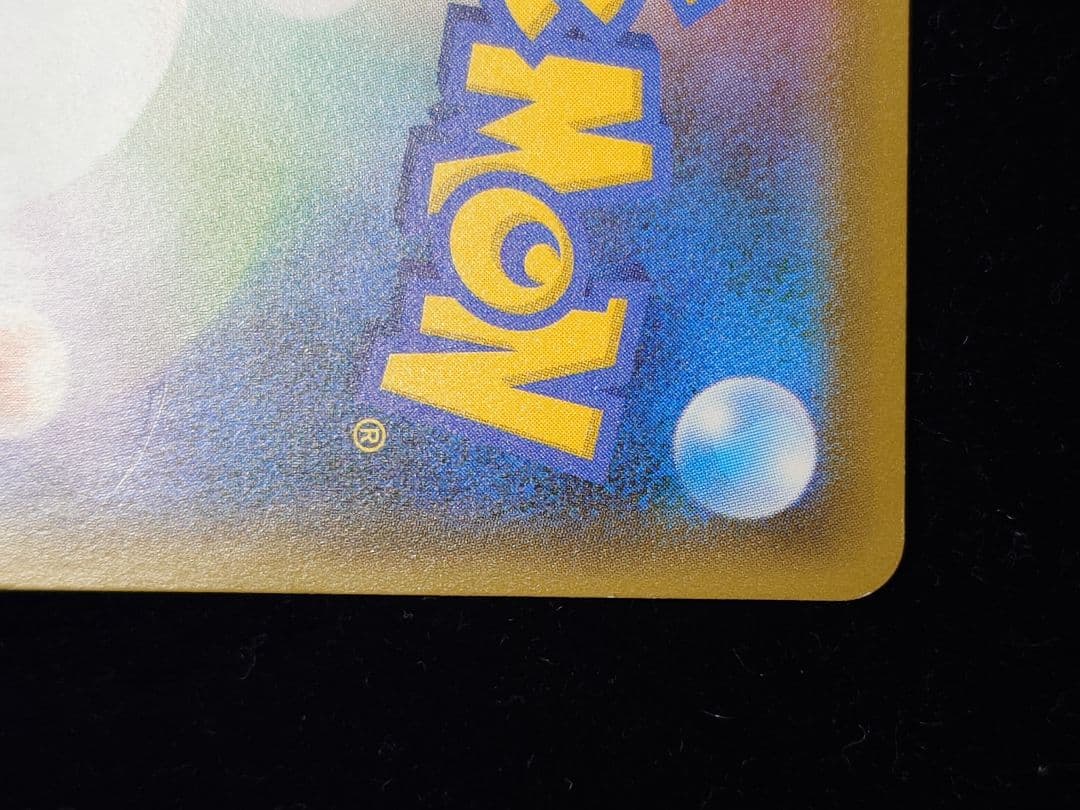 救助隊DXのピカチュウ