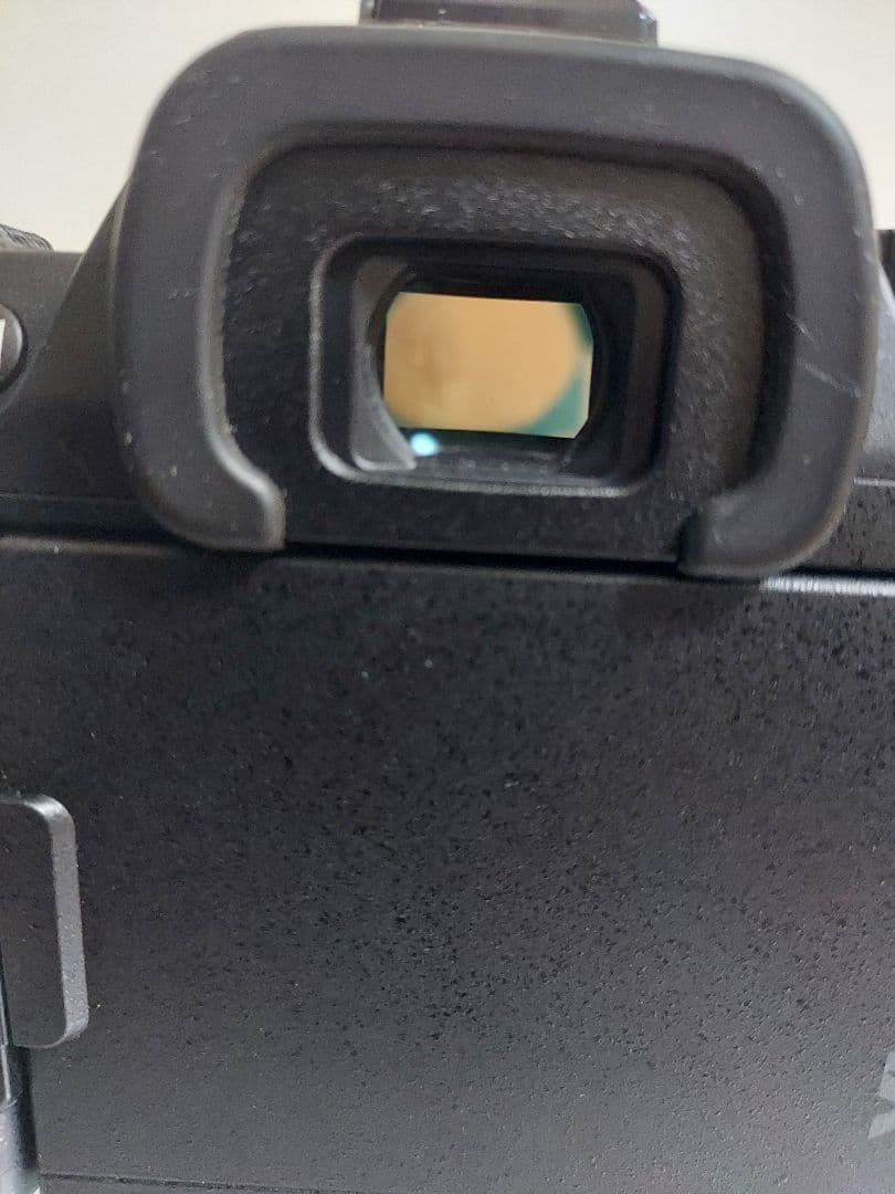 PENTAX K-S2 『黒死病』　デジタル一眼レフカメラ