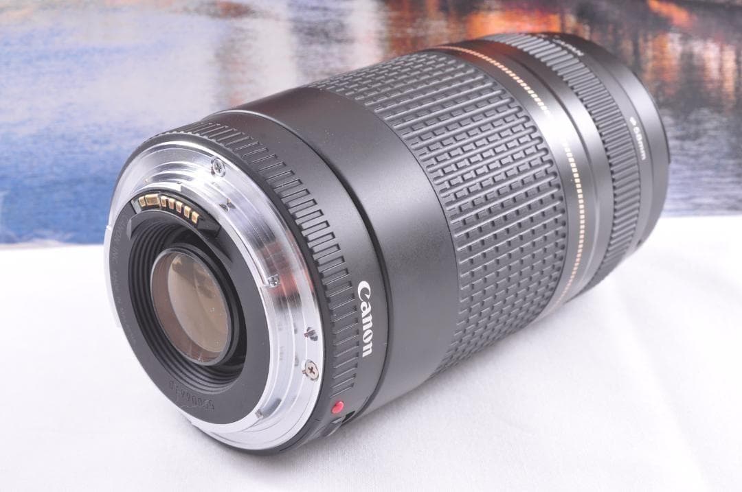 貴重な一瞬を望遠で！Canon キヤノン 望遠レンズEF75-300mm♦