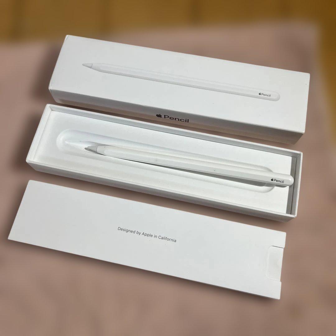 Apple iPad Pro11インチ第一世代シルバー512gb おまけ付き