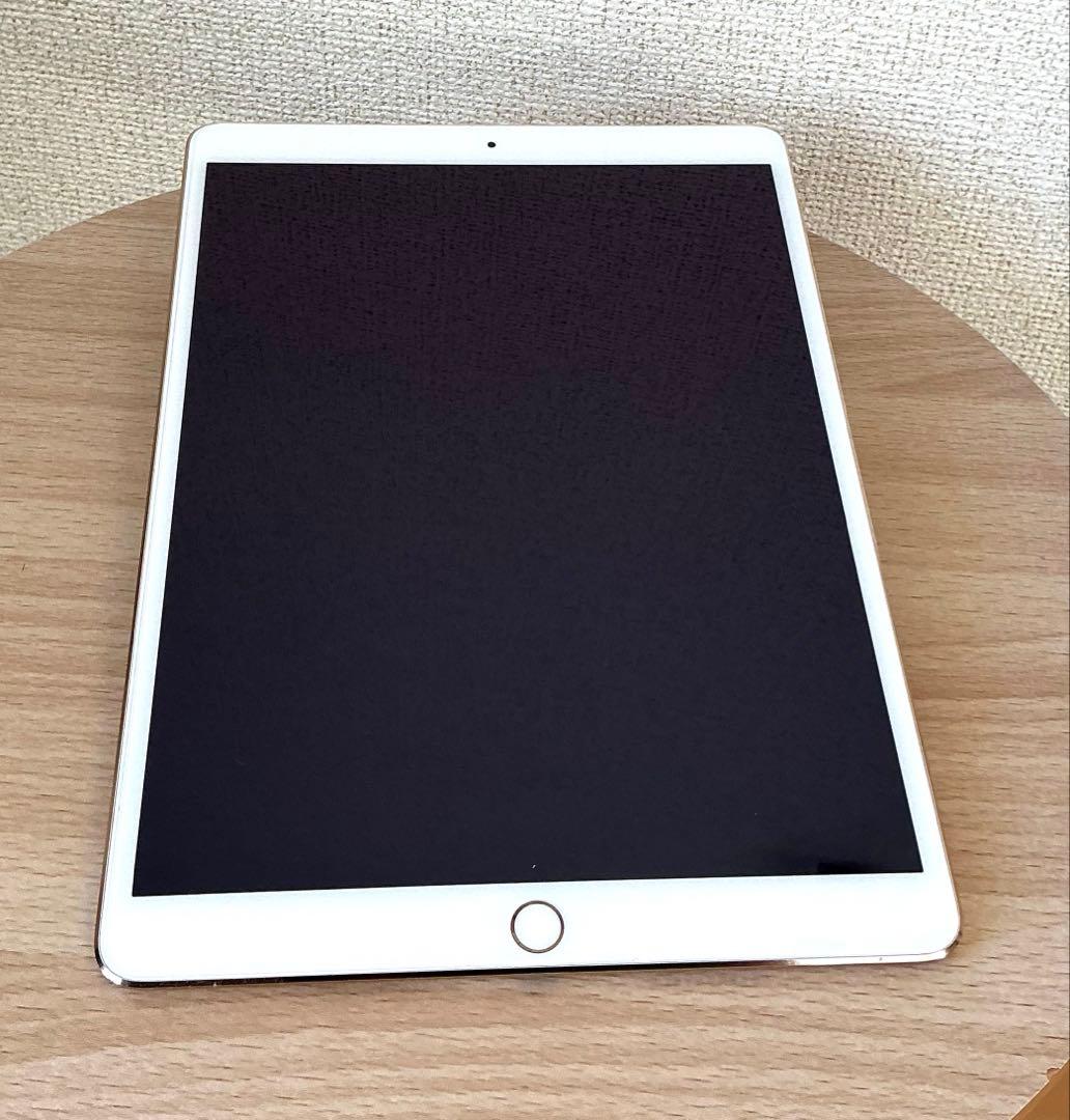 iPad本体 iPad Pro 256GB MPHJ2J/A Wi-Fi+Cellular