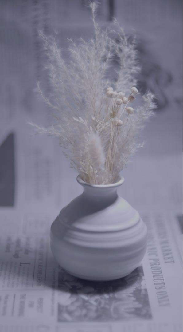 作例有　RICOH 55mm f1.4 m42マウント