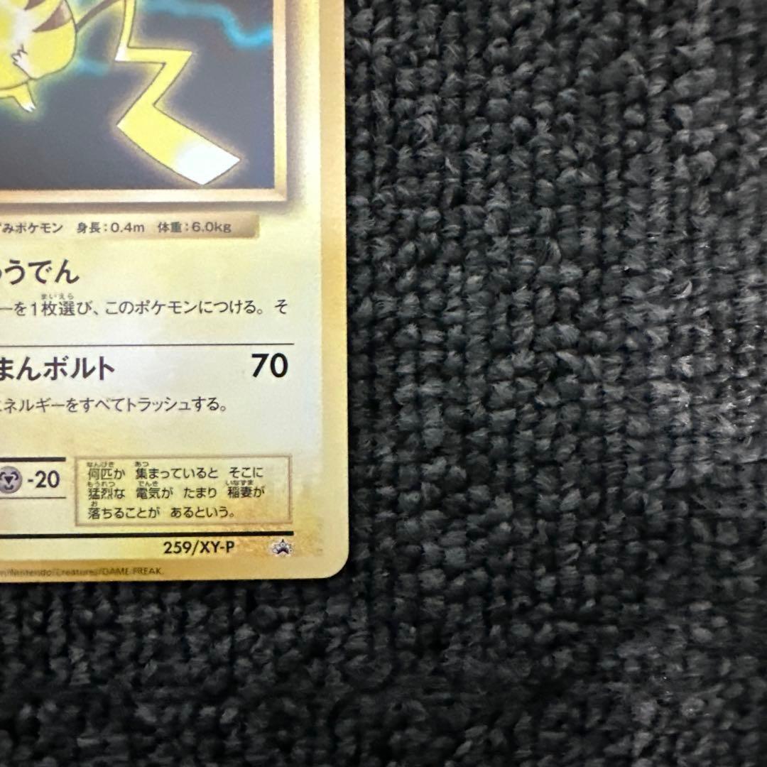 ポケモンカード ピカチュウ PROMO BW-Pプロモカード 259/XY-P