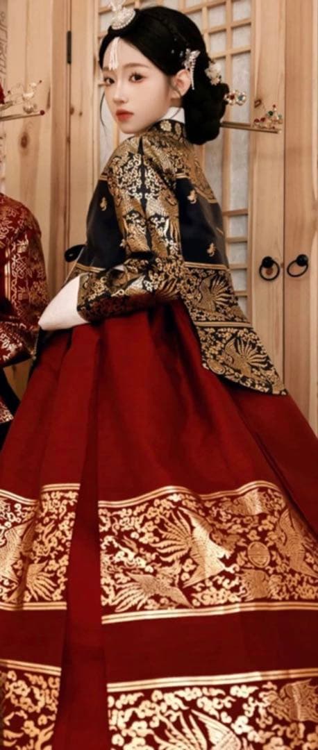 伝統韓服 上黒下赤セット宮廷韓服タンウィ