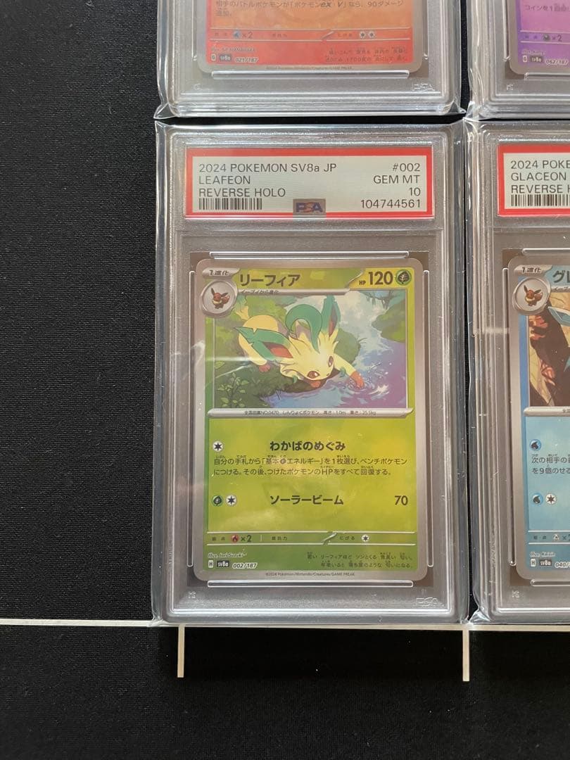 PSA10 ブラッキー 他 ブイズ モンスターボール 9枚連番 テラスタルフェス