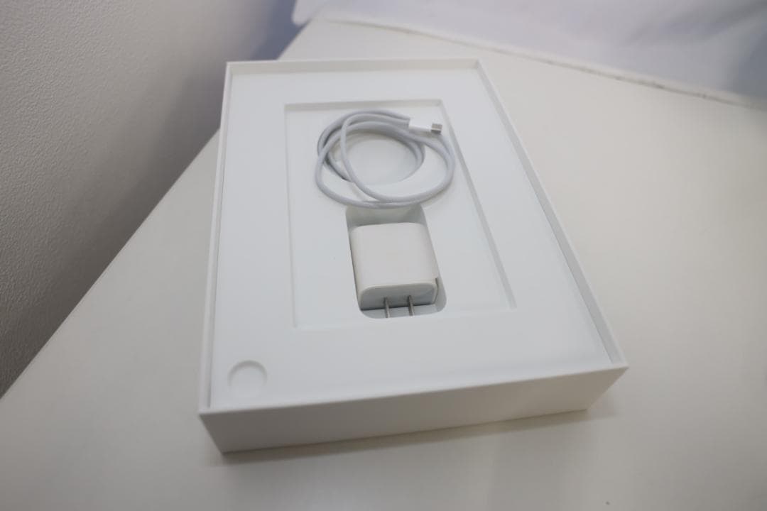 美品 iPad 第10世代 10.9インチ Wi-Fi 256GB ブルー