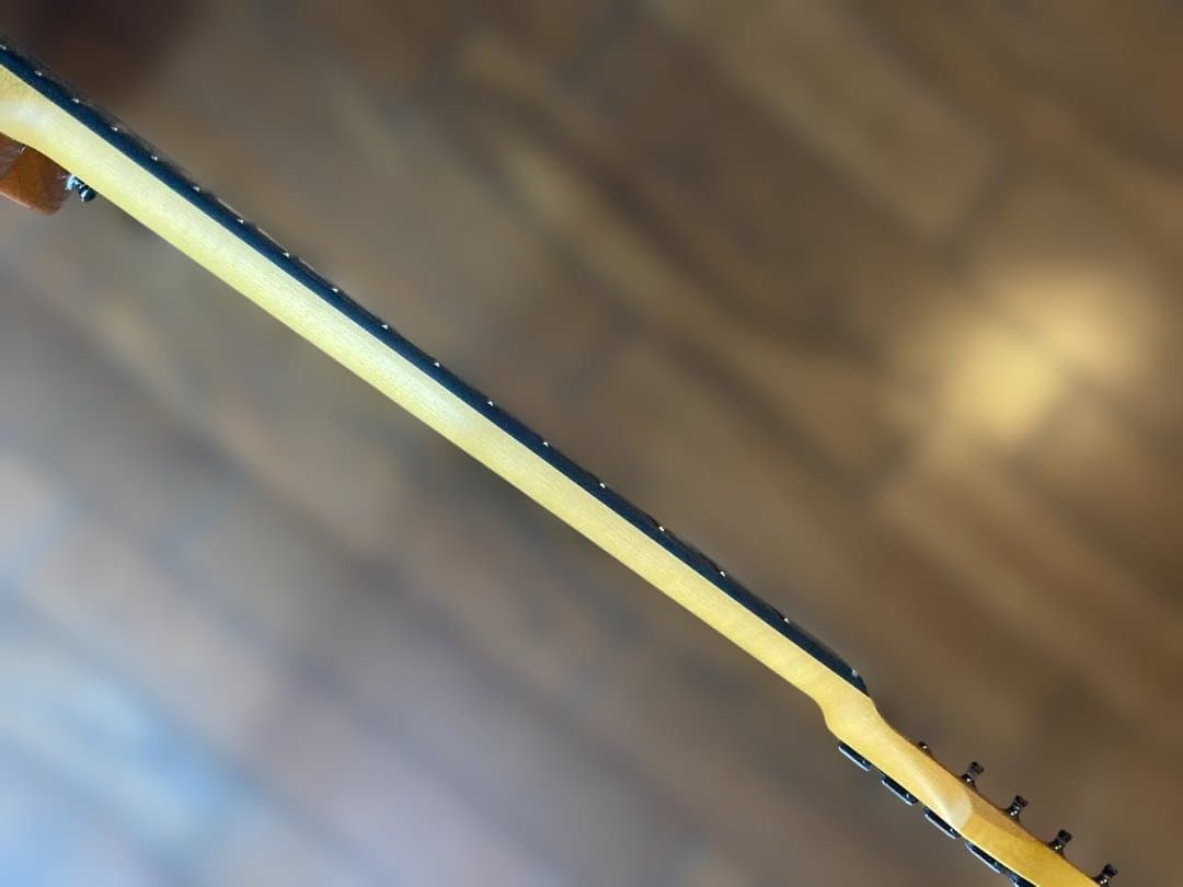 Westville Westel Semi-Hollow 　貴重な１マイク仕様