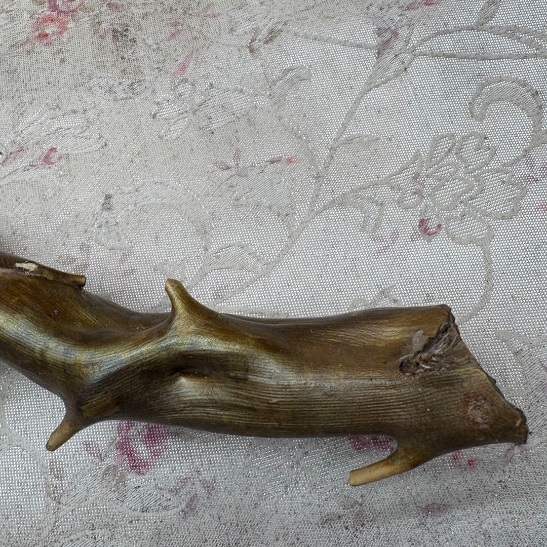 海松　深海松　レインボーコーラル　置物　素材