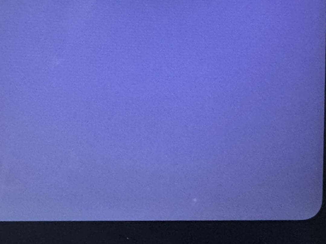 iPad Pro 11 第1世代 256GB Wi-Fi + Cellular