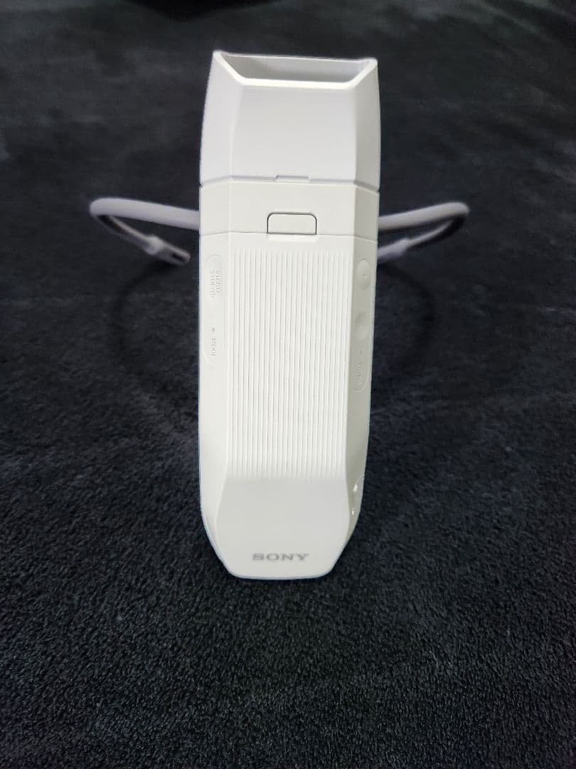 SONY　REON 　POCKET　PRO