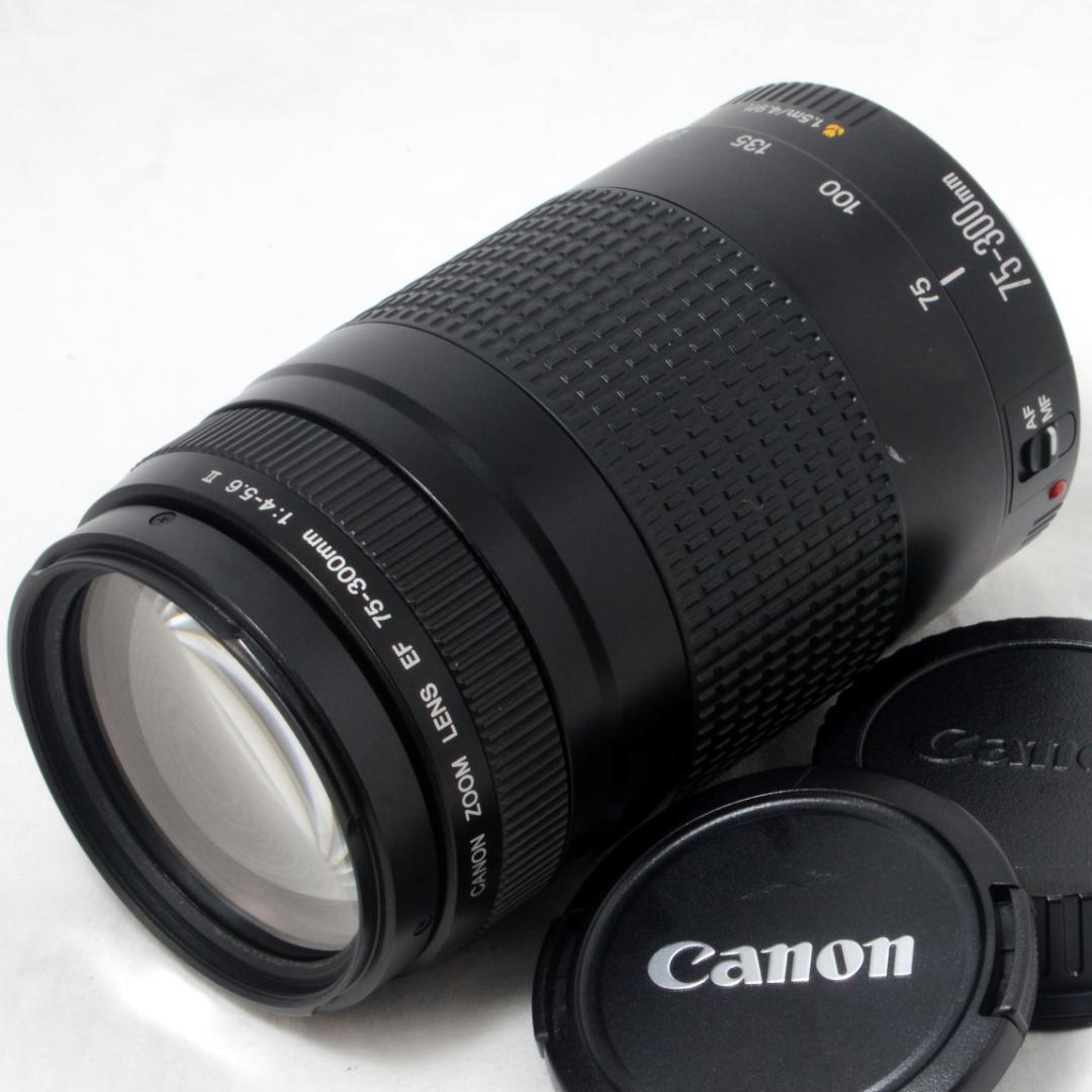 ★良品★Canon キャノン EF 75-300mm F4-5.6 Ⅱ