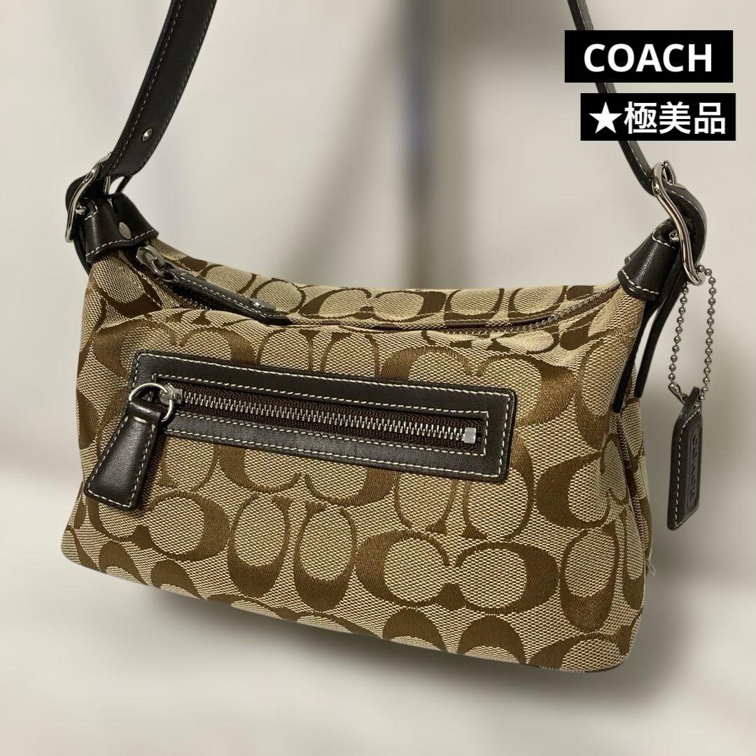COACH　アクセサリーポーチ★極美品ハンドバッグ シグネチャー　6044