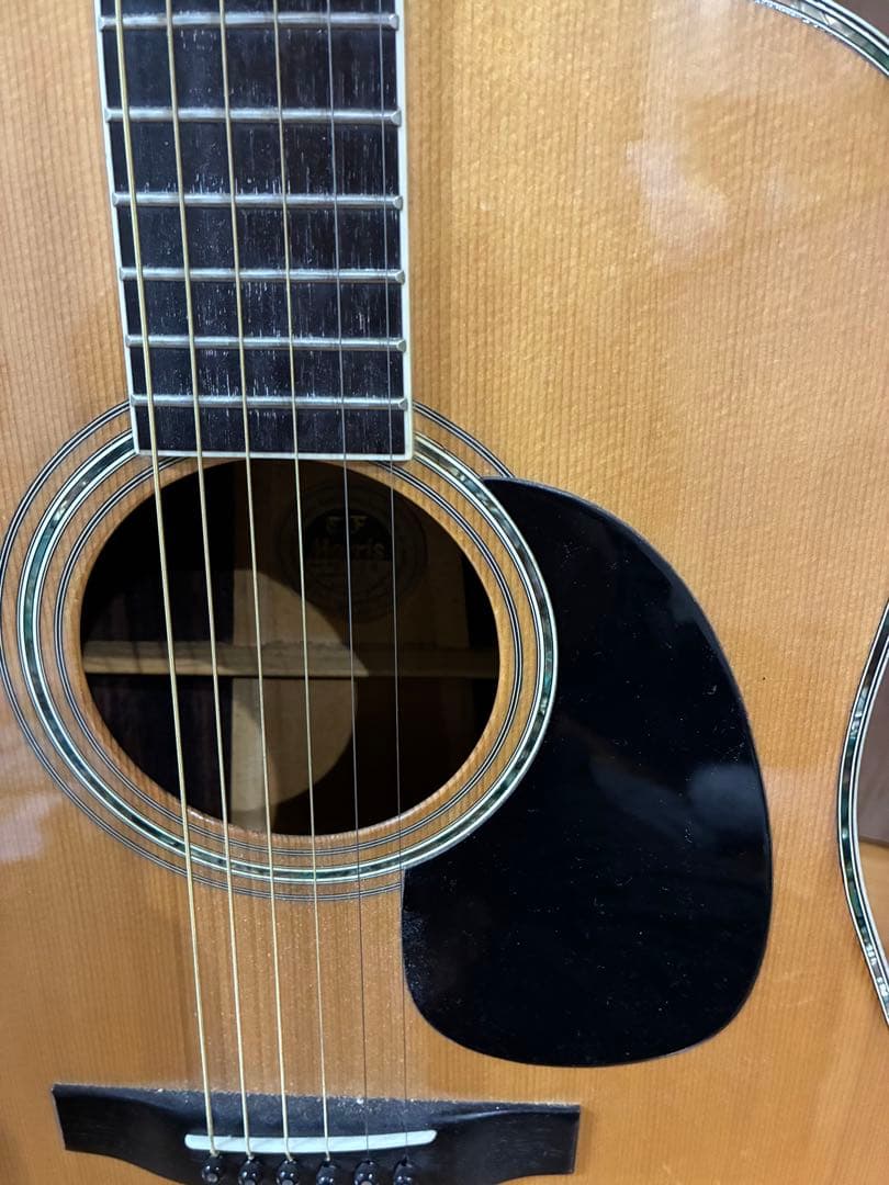 Morris W-50 アコースティックギター