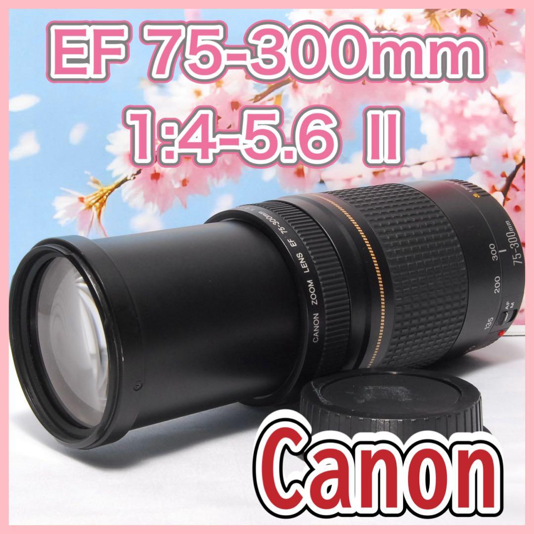 美品❤️ Canon ZOOM LENS EF 75-300mm f4-5.6 Ⅱ
