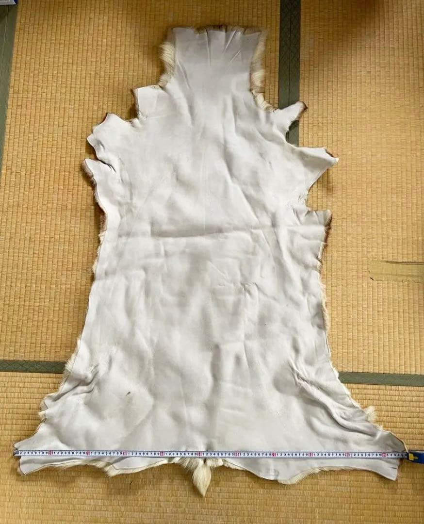 エゾシカ　敷物　毛皮　ラグ