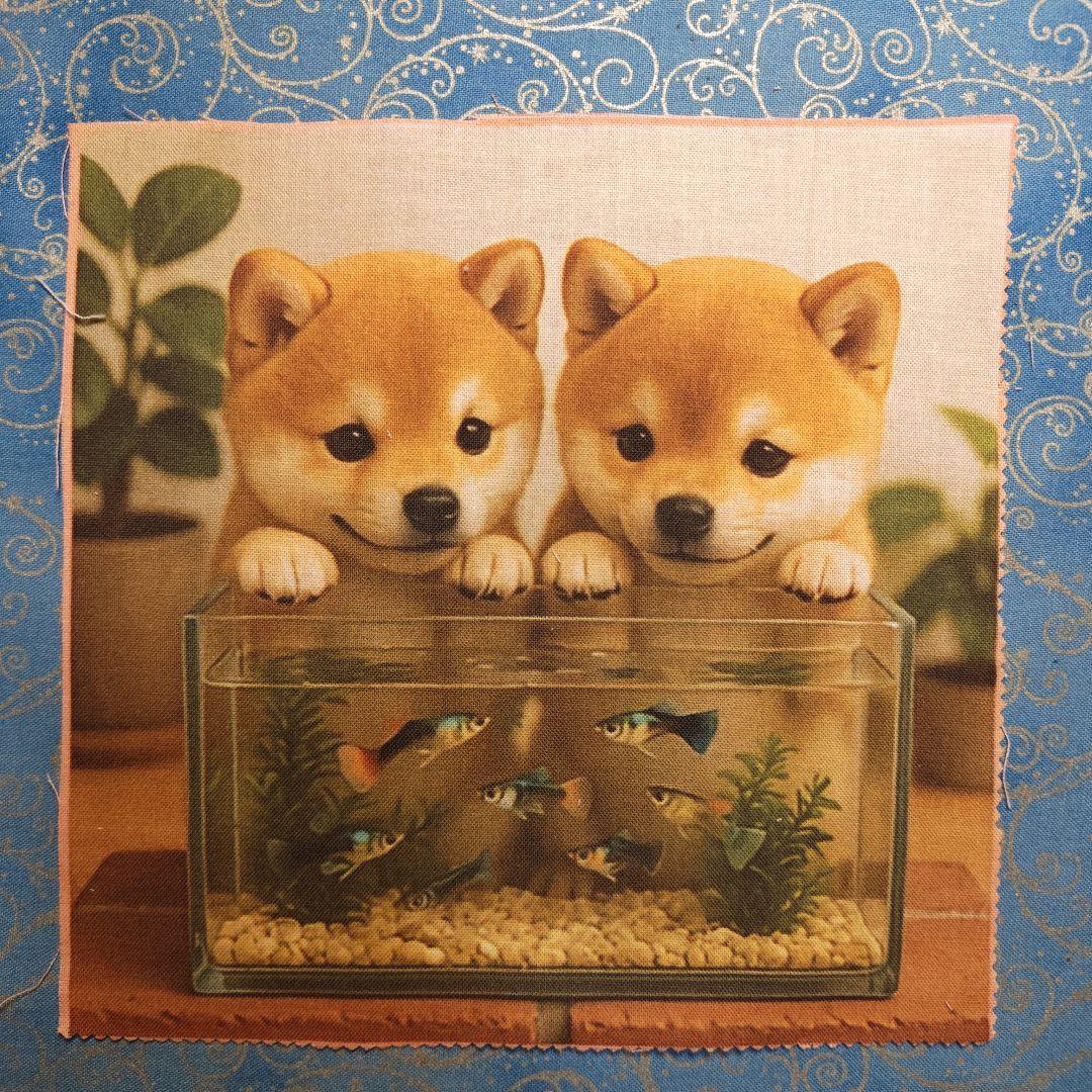 モグモグ　ハンカチ、パネル　No1 18枚　No2 50枚