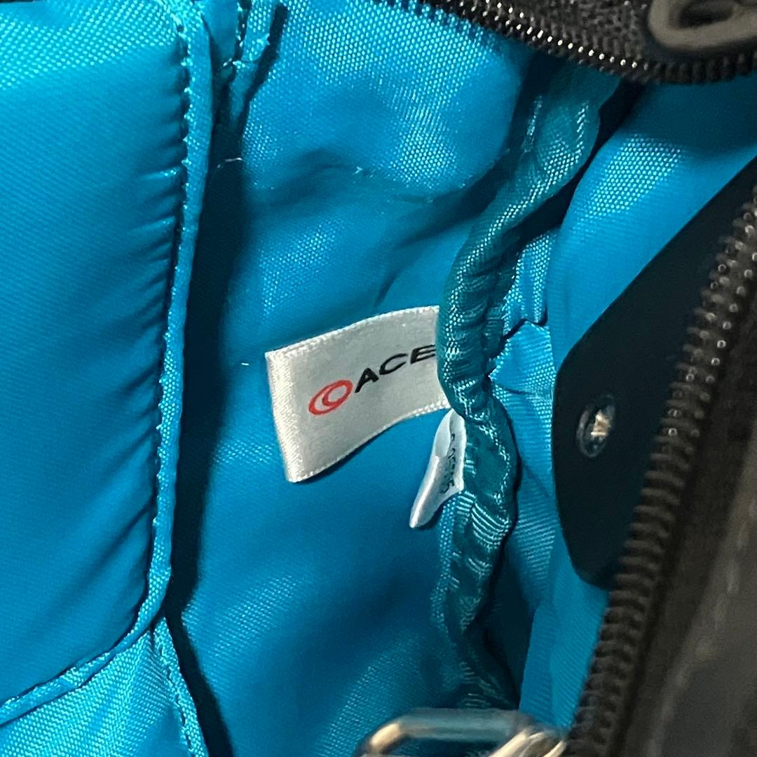 マンダリナダック ビジネスバッグ ACEコラボ 2way 撥水 収納力抜群