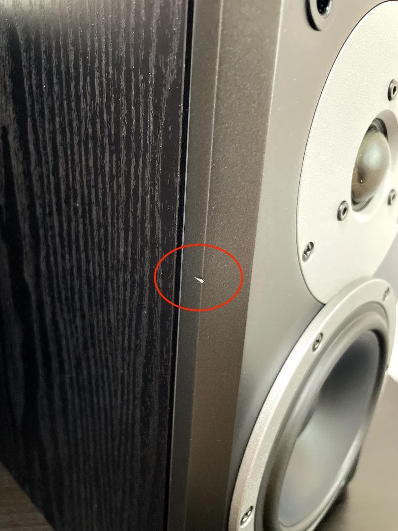 美品 DYNAUDIO ディナウディオ DM 2/6 スピーカー