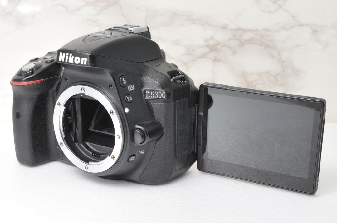 Nikon D5300⭐️ダブルレンズ Wi-Fi スマホ転送 高画質 一眼レフ