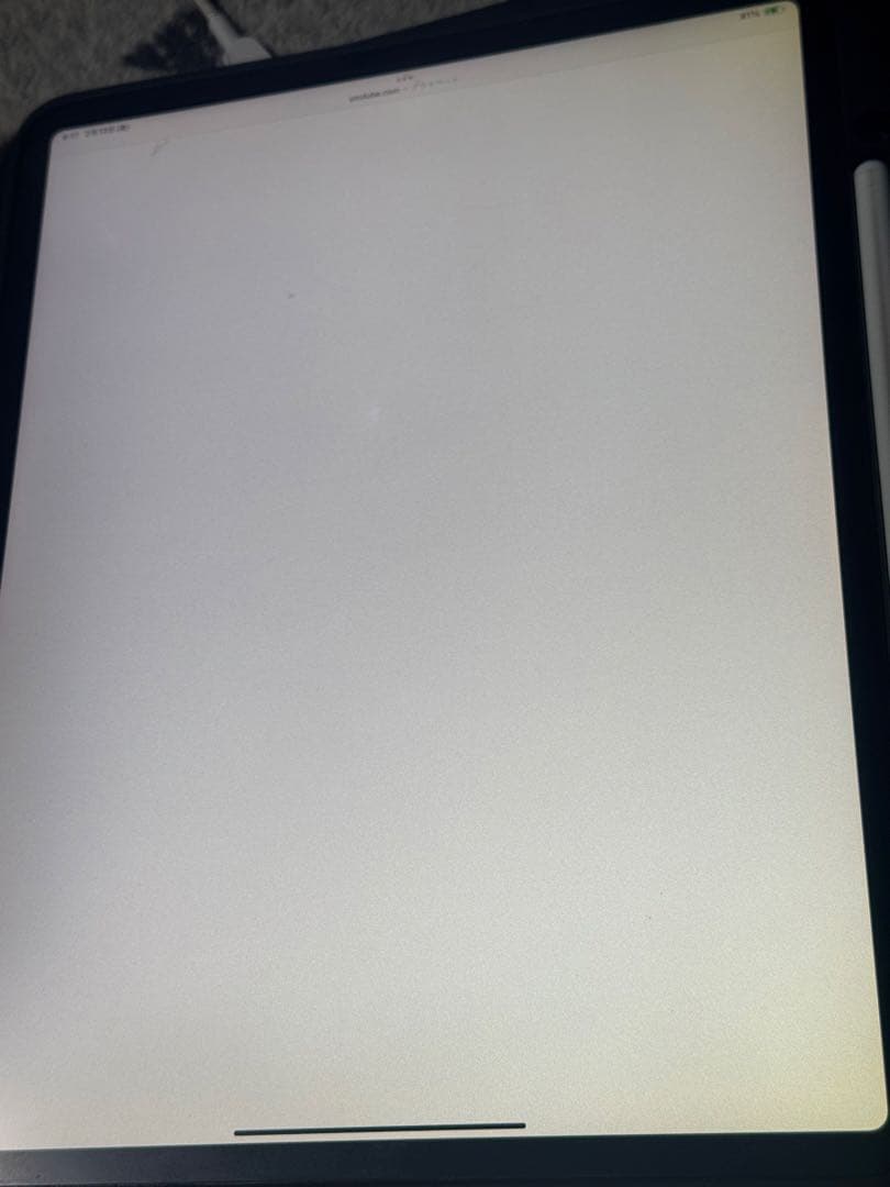 iPad Pro (12.9インチ) 第3世代1TB 本体　画面に黄ばみ