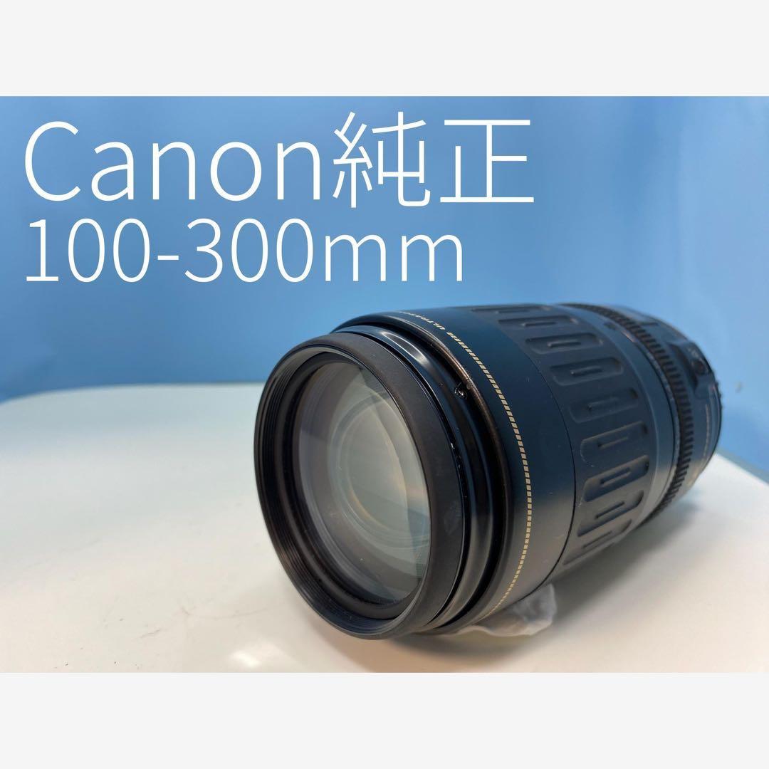 Canon純正 100-300mm 望遠レンズ a3250