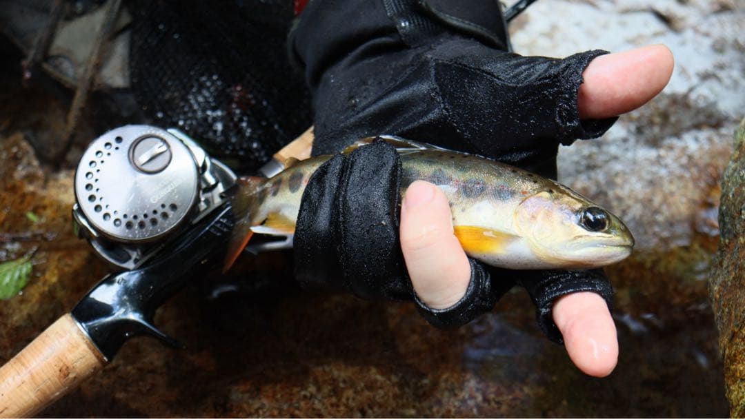 即撮影可！Canon Kiss X10本格フルセット