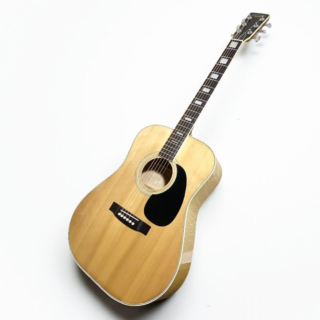 SPLENDOR スプレンダー 国産ドレッド 美品 杢メイプル