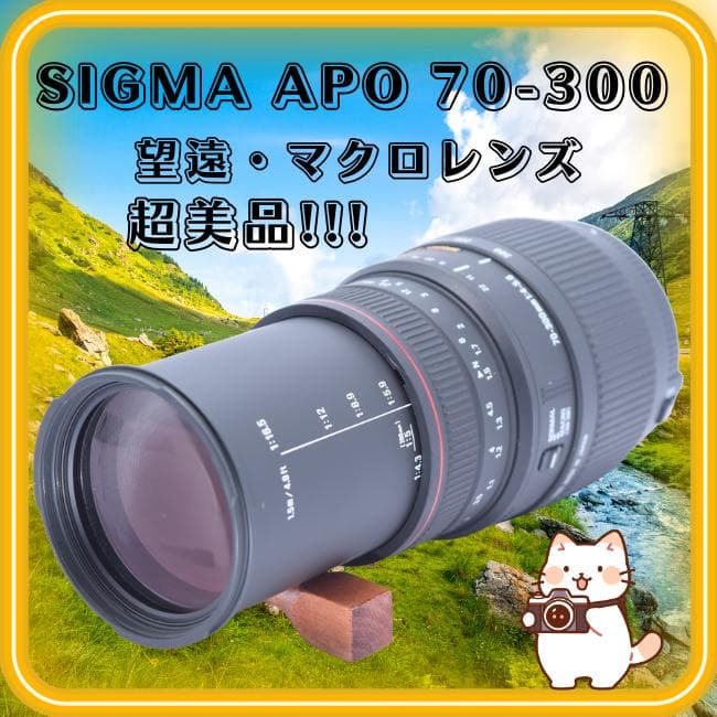 シグマ SIGMA APO DG 70-300mm f4-5.6 Nikon