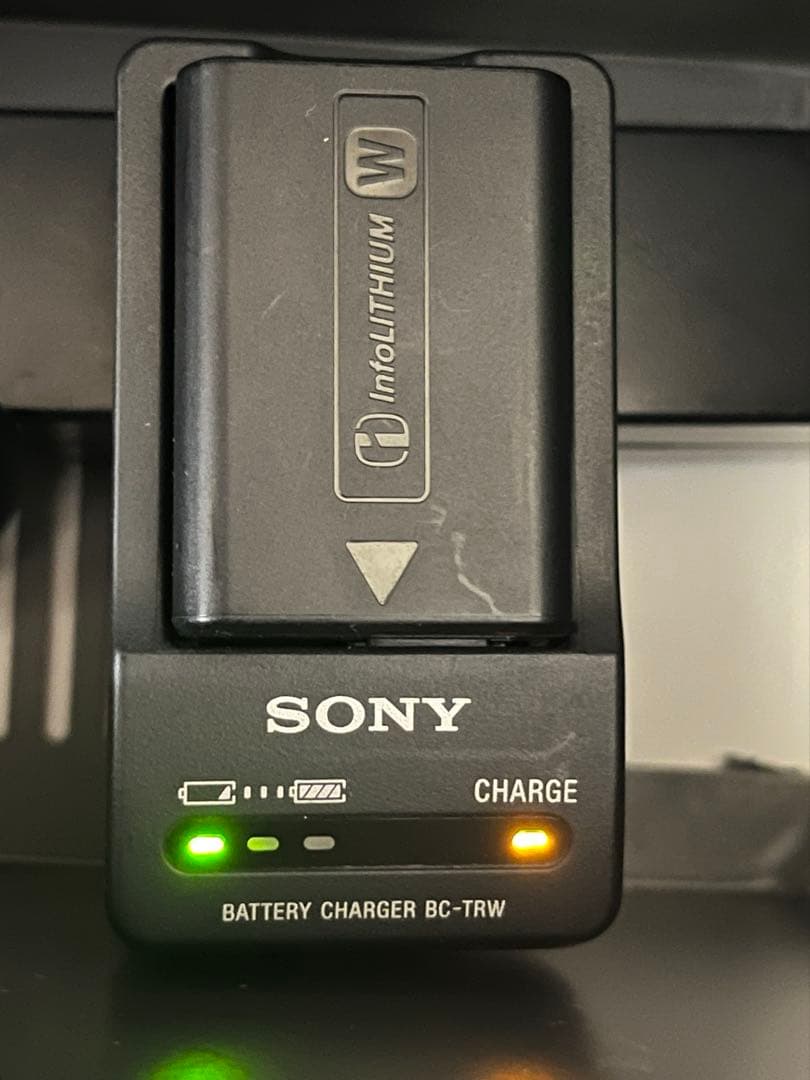 SONY α7Ⅱ ILCE-7M2 アンカーリンクス　予備電池　レザーケース