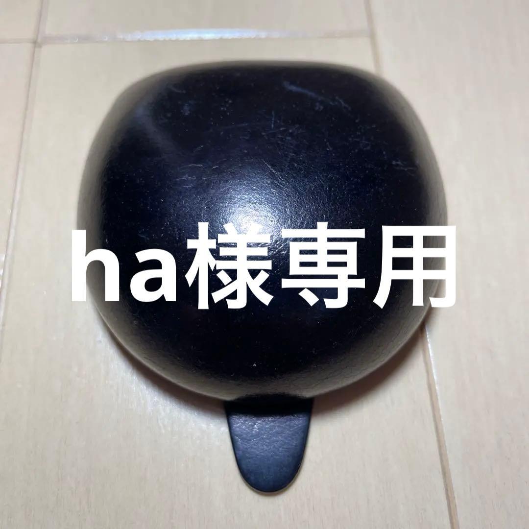 GANZO マエストロ2ケース ブラック