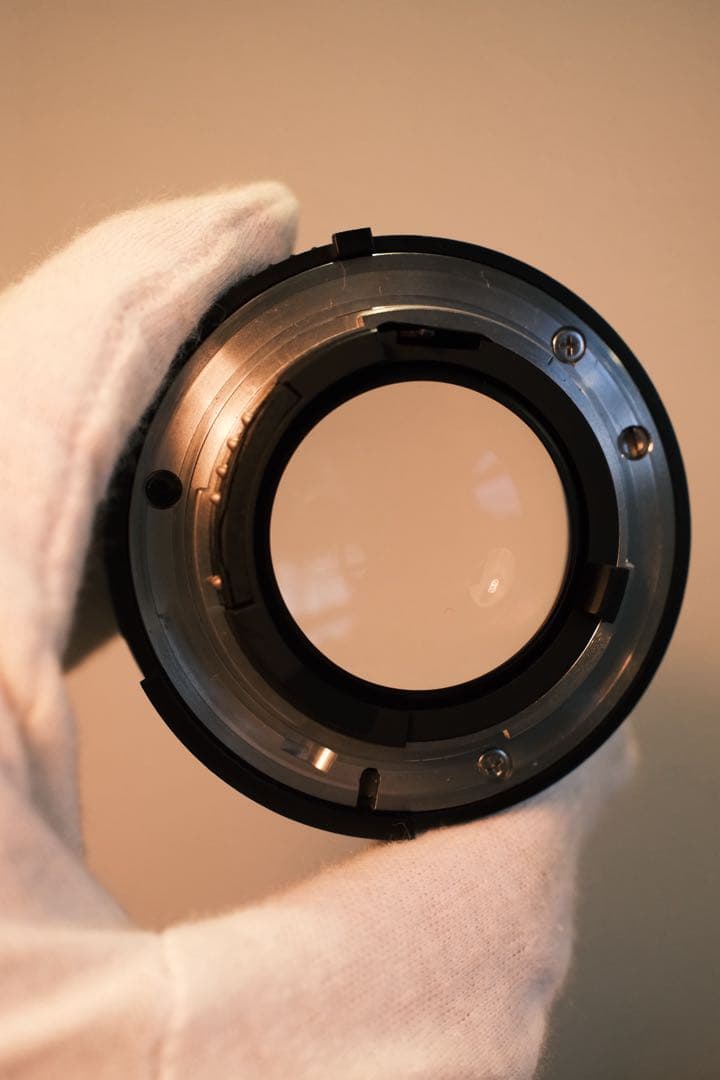 フィルムカメラ Nikon F100 + AF NIKKOR 50mm f/1.4