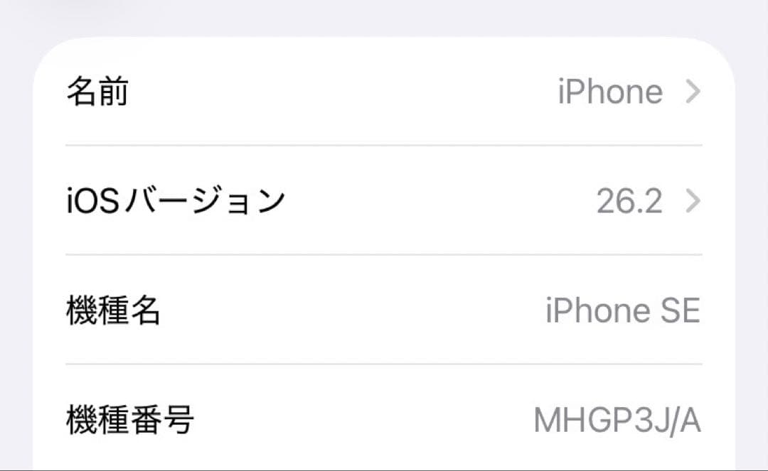 Apple iPhoneSE SIMフリー