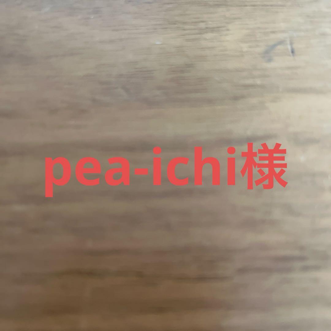その他 pea-ichi