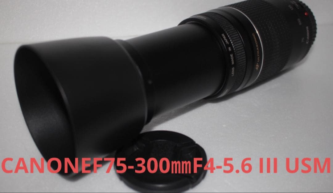 ☆望遠レンズ☆CANON EF 75-300㎜F4-5.6 III USM☆