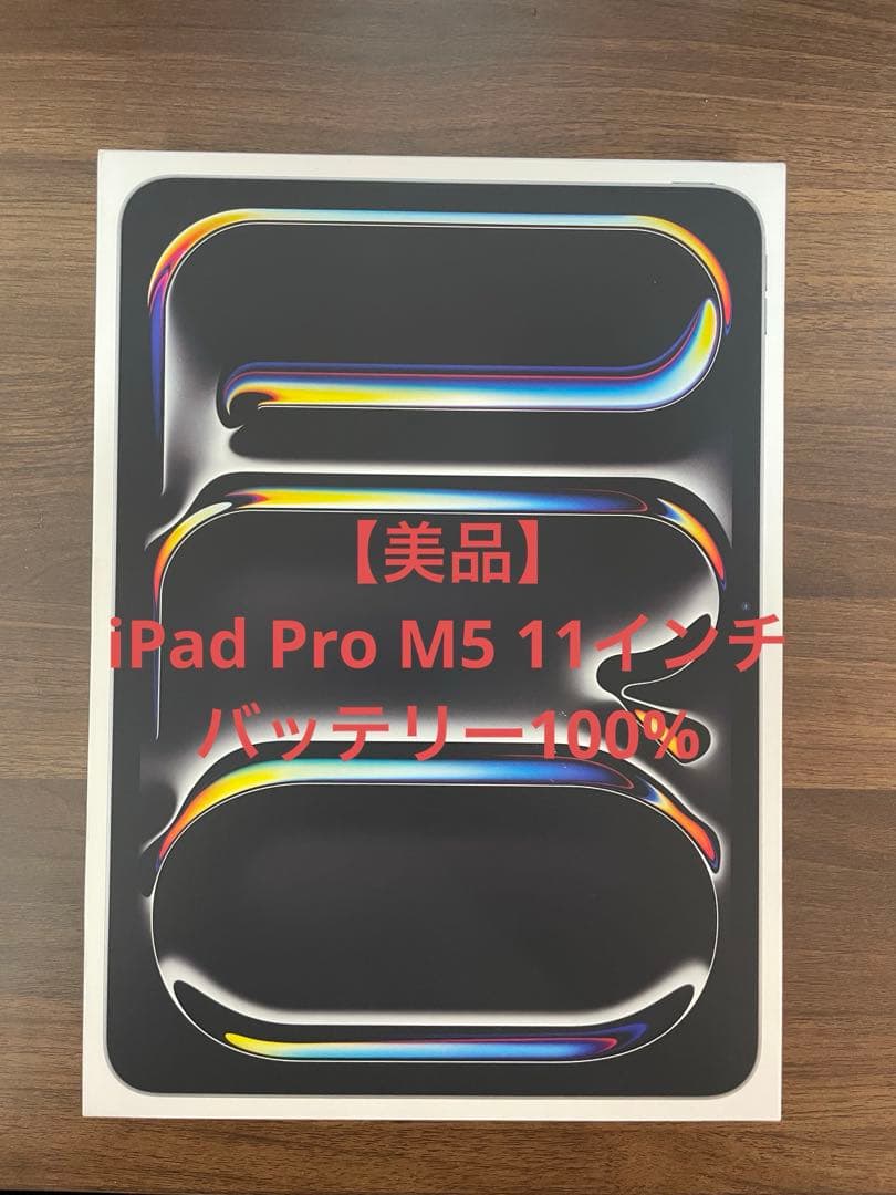 【美品】iPad Pro M5 11インチ 256GB 本体