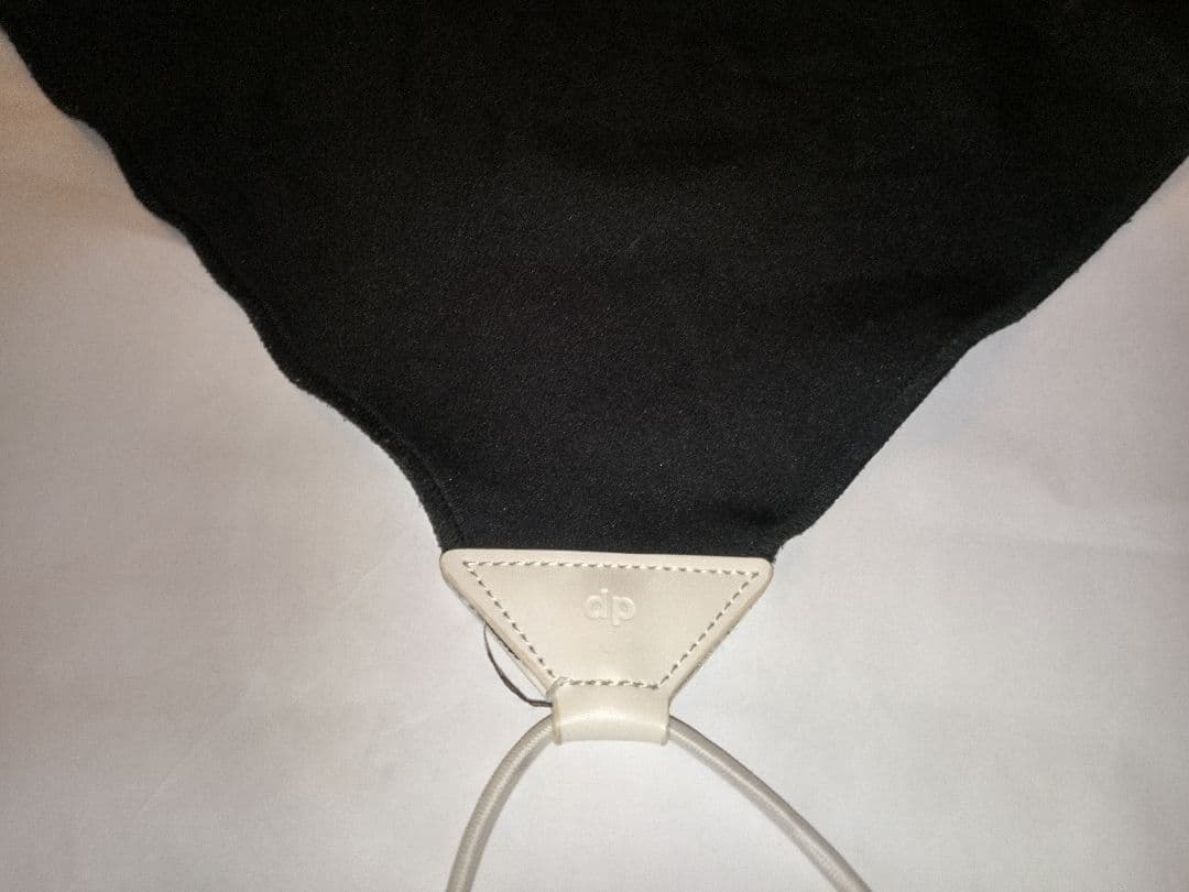 SIGMA dp3 Quattro/防護フィルター・専用クロス付/バッテリー3個