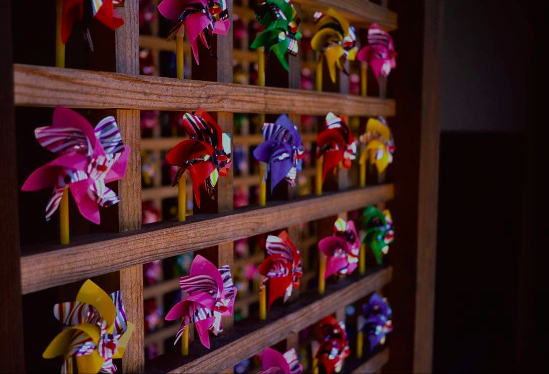 フィルムカメラ T3