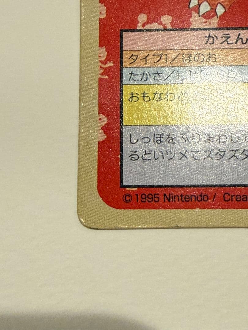 トップサン リザード＆リザードン 裏緑