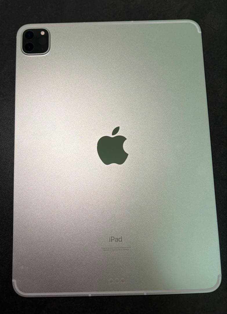 『くま』iPadPro11インチ第3世代128GB