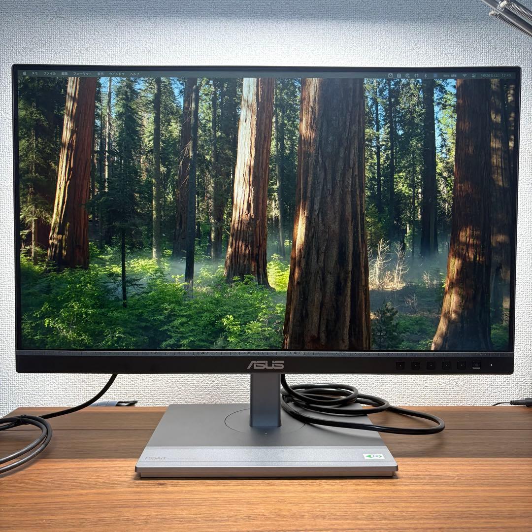 ◯ASUS 23.8型IPSモニター ProArt PA247CV USB-C◯