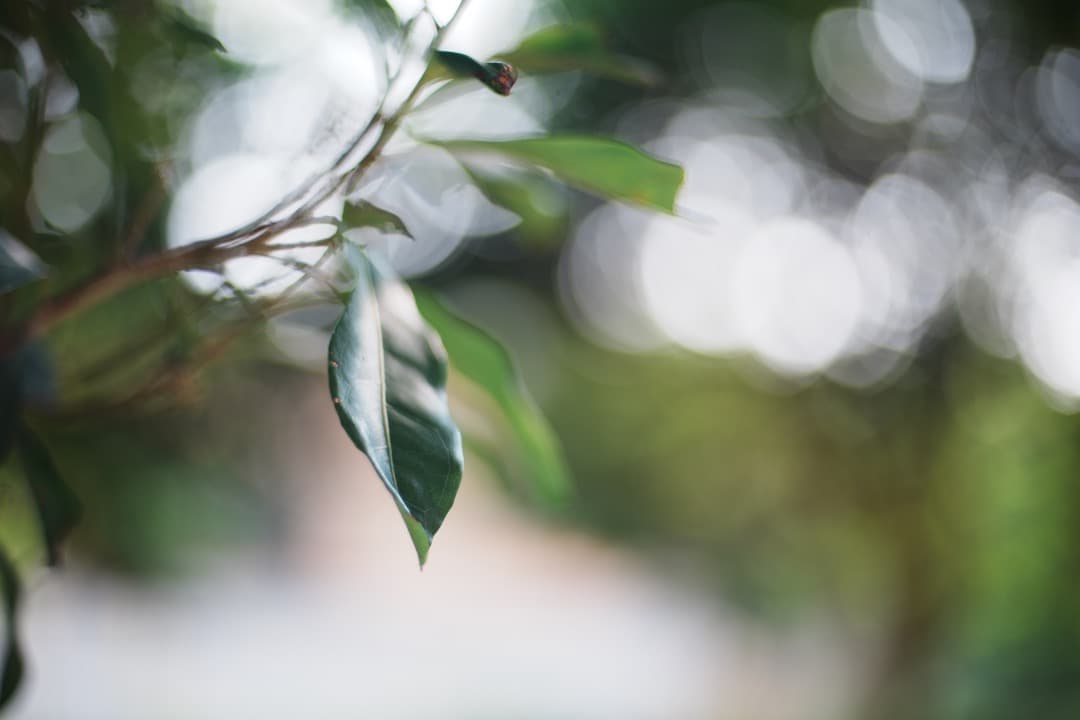 【極美品】ニコン Ai-s Nikkor 50mm F1.4 大口径 583