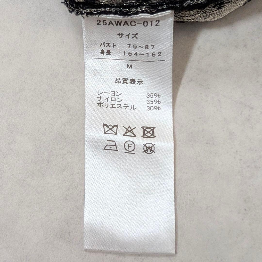 A CCORDION アコーディオン 25年モデル シャイニーウェイヴィーシャツ