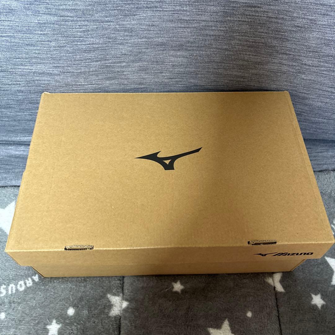 ミズノ　安全靴　25.5